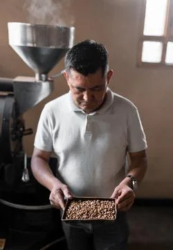Portrait of an Hispanic man looking at some coffee roasted beans Stock Photos