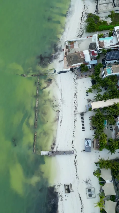 PORTRAIT HOLBOX CONTRAST Stock Footage 321879495