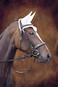 Portrait of a horse Stock Illustration