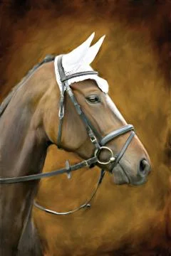 Portrait of a horse Stock Illustration