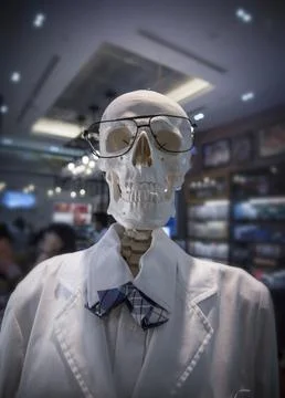 Portrait human skeleton Stock Photos