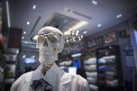Portrait human skeleton Stock Photos