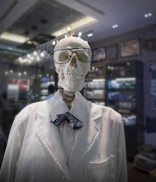 Portrait human skeleton Stock Photos
