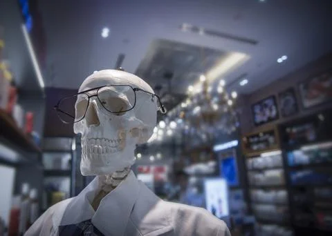 Portrait human skeleton Stock Photos