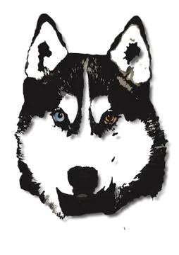 Portrait of husky Stock Illustration