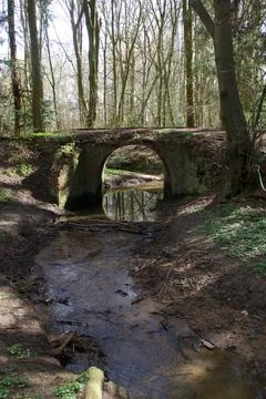 Portrait image of stream running to a bridge in woodland setting Stock Photos