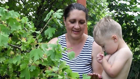 Portrait of kid boy of 3 years with grandmother in the garden Stock Footage 246956612