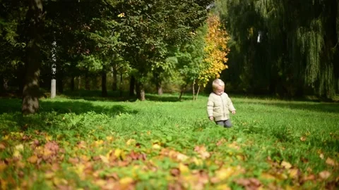 Portrait of kid boy of two years walking in autumn park. Indian summer in autumn Stock Footage 218606649