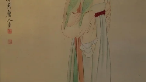 The portrait of a lady Video stock 118113077