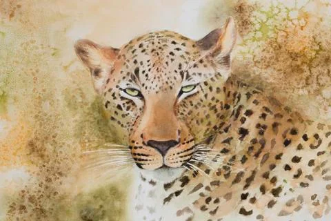 Portrait of a leopard. Stock Illustration