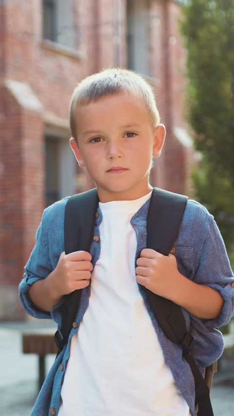 Portrait of little boy with backpack looking to camera standing on the school ya Stock Footage 331793616