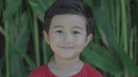 Portrait of little boy looking at camera. Smiling happy child. Stock Footage 160465189