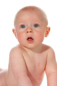 Portrait of a little boy Stock Photos