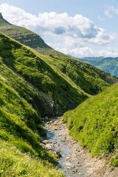 Portrait of little stream going down into the green valley in the dolomites Stock Photos