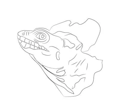 Portrait of a lizard, lines, vector Stock-Illustration