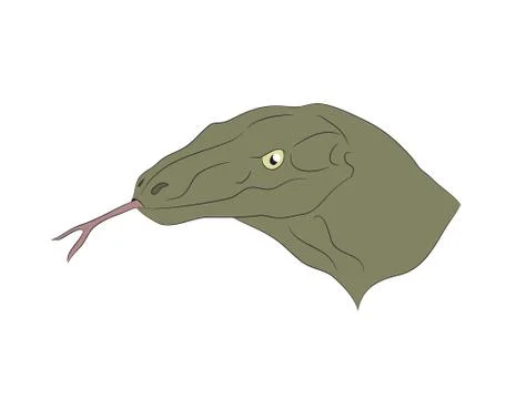 Portrait of a lizard, vector Stock Illustration