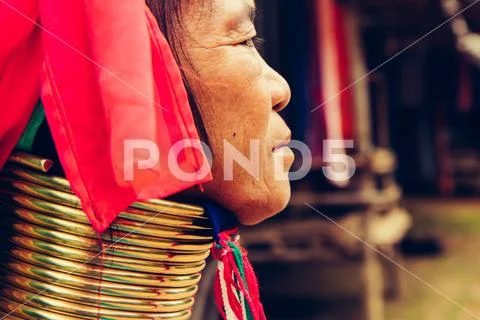 Portrait of long neck woman in traditional costume. Karen long neck tribe nor Stock Photos