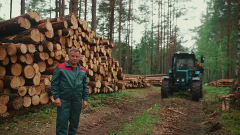Portrait of lumberjack or tractor driver in forest Stock Footage 233910990