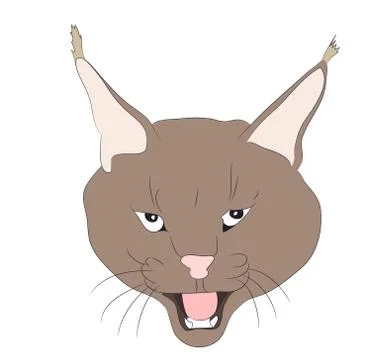Portrait of a lynx drawing, vector, Illustrazione stock