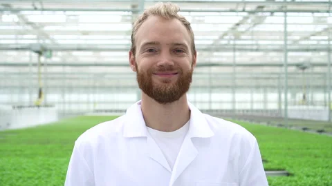Portrait of man agronomist is posing for camera and standing at hydroponic Stock Footage 143655943