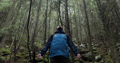 Portrait of a man with a backpack standing in the rain in the forest Stock Footage 243597468