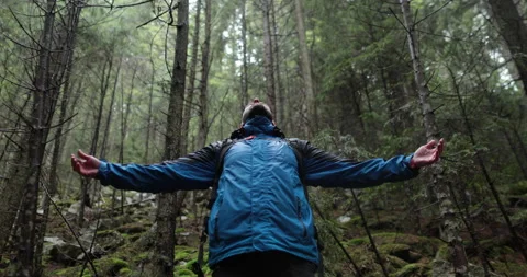Portrait of a man with a backpack standing in the rain in the forest Stock-Footage 243597828