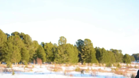 Portrait of a man with a beard in a knitted hat and scarf. Winter landscape in Stock Footage 83114529