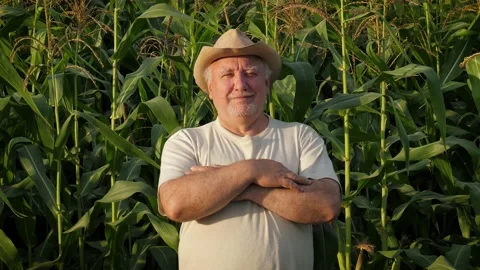 Portrait Man Farmer Stands In Corn Field With His Arms Crossed In Front Of Him Stock Footage 138760604