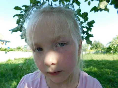 Portrait of a man Stock Photos