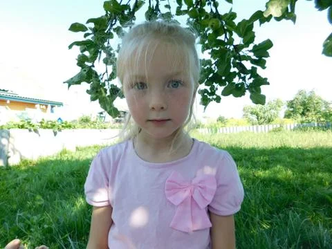 Portrait of a man Stock Photos