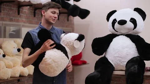 Portrait of a Man with a soft toy. Stock-Footage 73705707