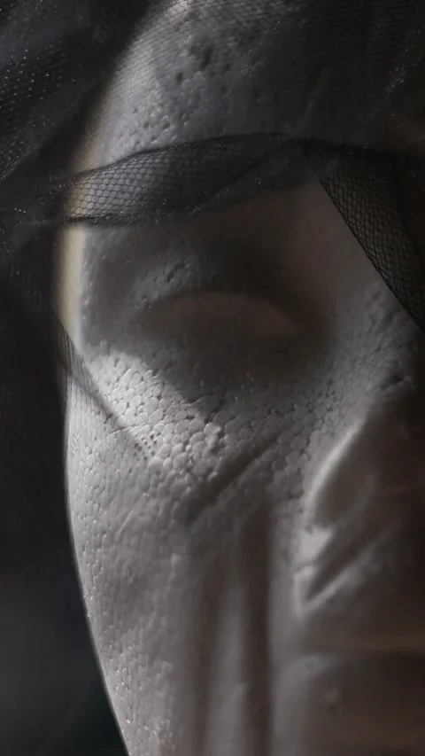 Portrait of a Mannequin with Tilt &amp; Shift timelapse Stock Footage 219462421