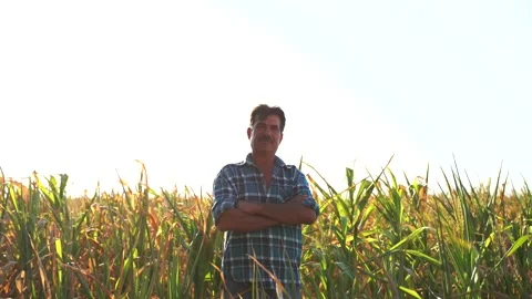 Portrait of middle aged man with hat, standing arms crossed and looking at Video stock 137541041
