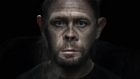 Portrait morph. Man turns into monkey. Adult caucasian man (Homo sapiens) slowly 스톡 동영상 167782730