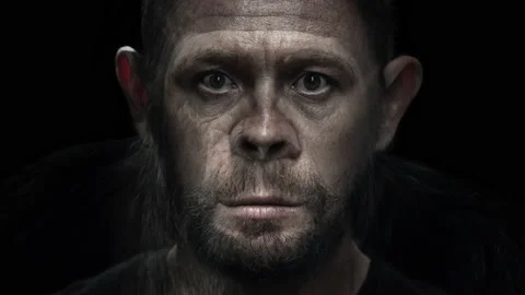 Portrait morph. Man turns into monkey. Adult caucasian man slowly morphs into Stock Footage 167993858