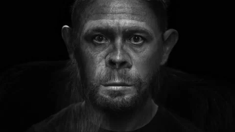 Portrait morph. Monkey turns into man. Chimpanzee slowly morphs into adult 스톡 동영상 167999234
