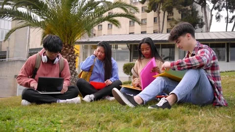 Portrait of a multiracial group of young students working outdoors. Stock Footage 244588216