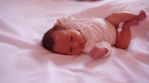 Portrait of a newborn.  Stock Footage 88791741