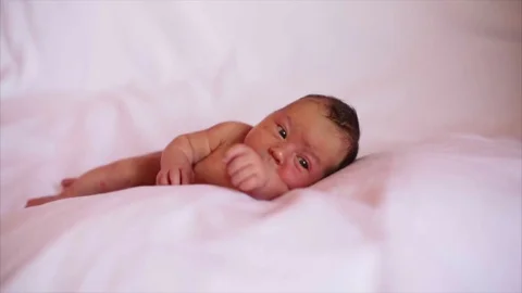 Portrait of a newborn.  Stock Footage 88791766