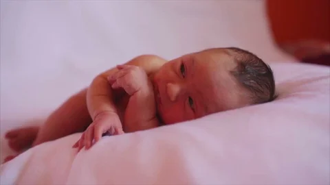 Portrait of a newborn.  Stock Footage 88791779