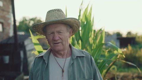 Portrait of the old farmer in the corn field smiling at camera 4K 库存影片 80968350