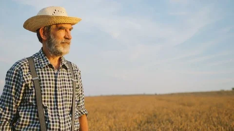 Portrait of old happy fermer in the hat standing in the golden field and smiling Stock Footage 78800392