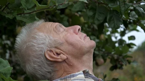 Portrait Old Man In Park Raises Head Up Closes Eyes And Relaxes Thinks Prays Stock Footage 218587205