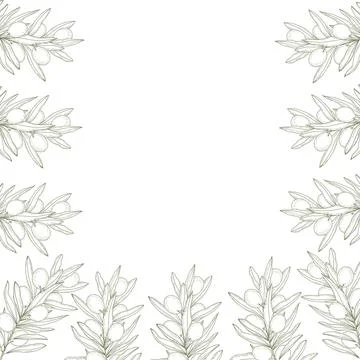 Portrait olive branch frame with blank copy space in monochrome hand drawn イラスト素材