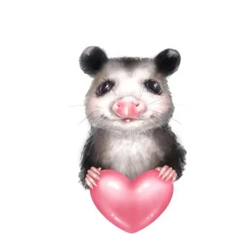 Portrait of Opossum Stock Illustration