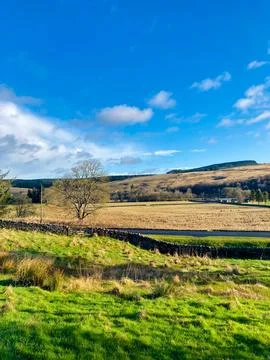 Portrait or vertical shot of fields and drystone wall in Yorkshire Dales, UK Stock Photos