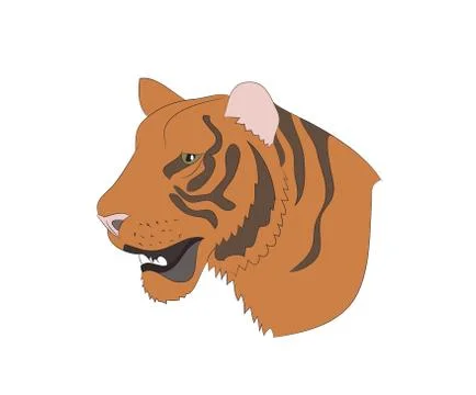 Portrait of an orange tiger, vector Stock Illustration