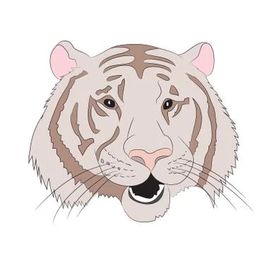 Portrait of an orange tiger, vector Stock-Illustration