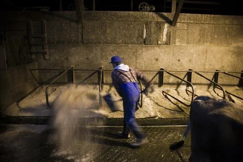 Portrait of an owner-handler of a raw milk creamery who runs the operation with Stock Photos
