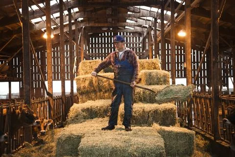 Portrait of an owner-handler of a raw milk creamery who runs the operation with Stock Photos